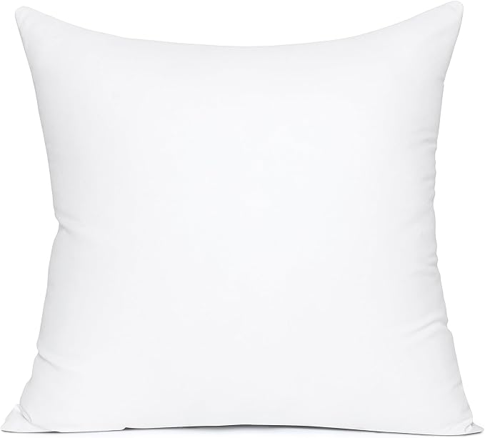 MIULEE 28x28 Euro Pillow Insert, Throw Pillow by MIULEE