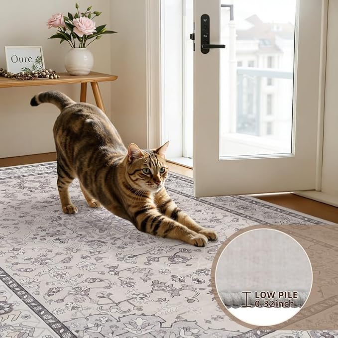 6x9 Area Rugs Living Room: Bedroom Washable Carpet Beige & Grey | Large Vintage - Image 7