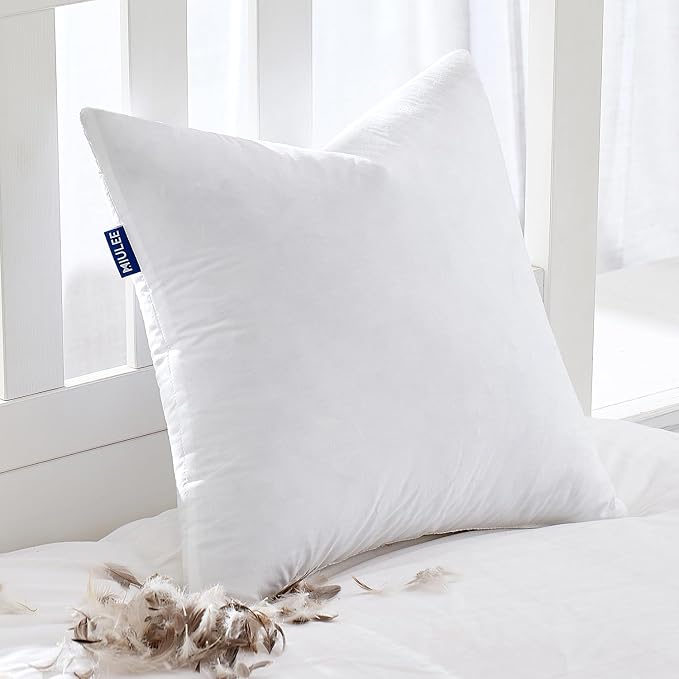 MIULEE Feather Euro Pillow Insert 28x28, Throw Pillow by MIULEE