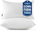 MIULEE 20x26 Throw Pillows Inserts 2 Pack, Decorative Pillows by MIULEE