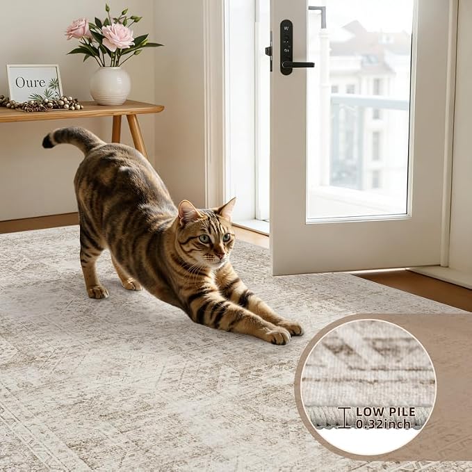 6x9 Area Rugs Living Room: Bedroom Neutral Washable Carpet Brown | Vintage Boho - Image 7