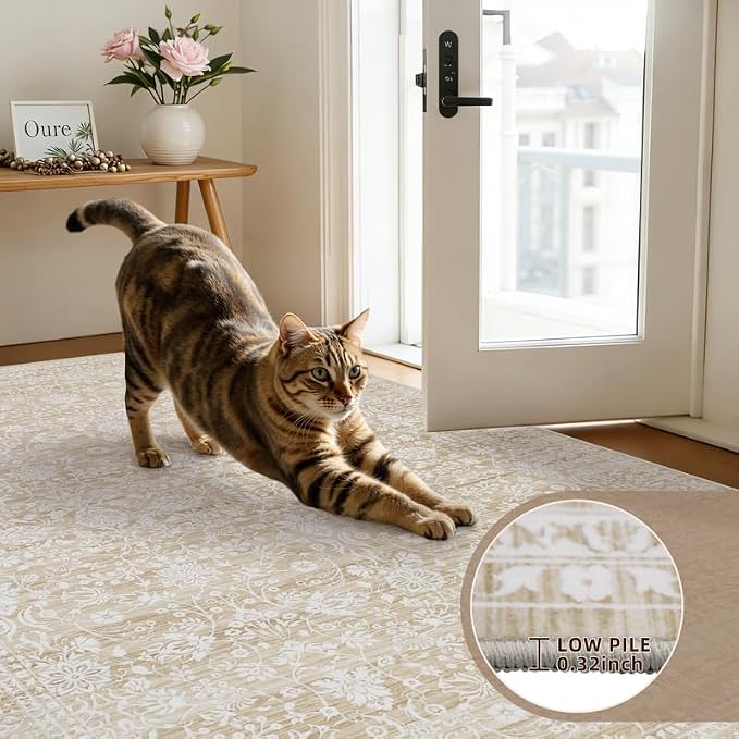 6x9 Area Rugs Living Room: Bedroom Washable Carpet Natural Beige | Large - Image 7
