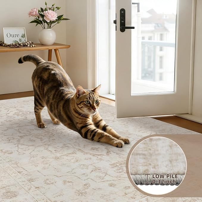 10x12 Area Rugs Living Room: Bedroom Washable Carpet Warm Beige | Vintage Boho - Image 9