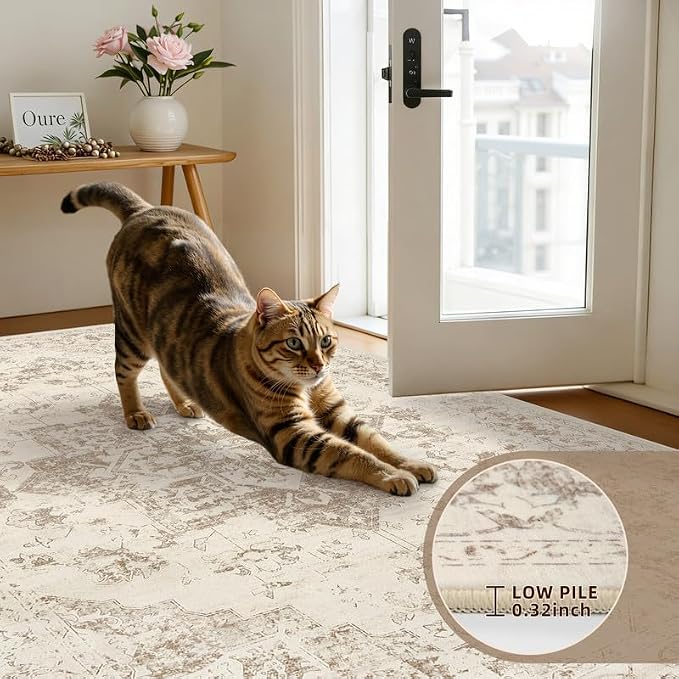 3x5 Area Rugs Living Room: Bedroom Washable Carpet Beige/Ivory | Vintage Boho - Image 7