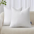 MIULEE 20x20 Pillow Inserts Set of 2, Throw Pillows by MIULEE