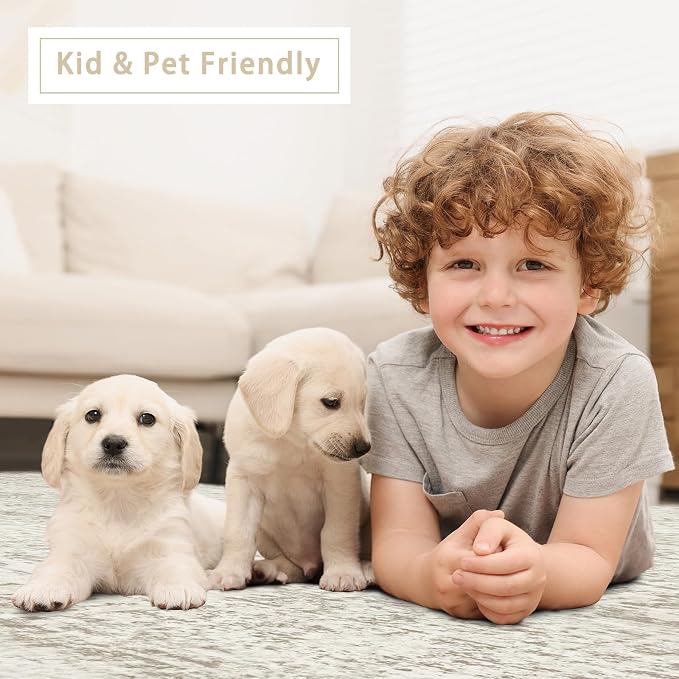 Washable Rugs 6x9 Area Rugs for Living Room, Dining Room Carpet | Ultra Soft - Image 6