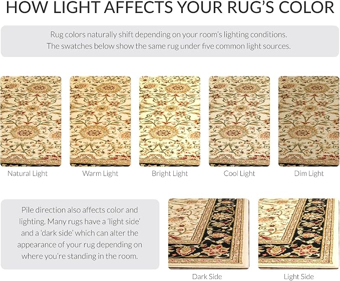 SAFAVIEH Lyndhurst Collection 10' Round Ivory/Black LNH212B Traditional - Image 4