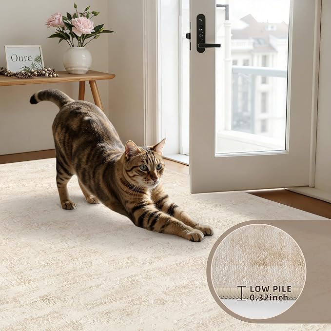 4x6 Area Rugs Living Room: Bedroom Washable Carpet Retro Beige | Large Vintage - Image 7