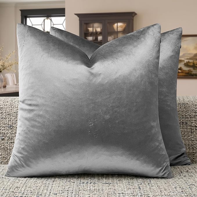 GIGIZAZA Dark Grey Velvet Throw Pillow Covers 20x20 Pack of 2 | Decorative by GIGIZAZAFocusingonhomedecoration