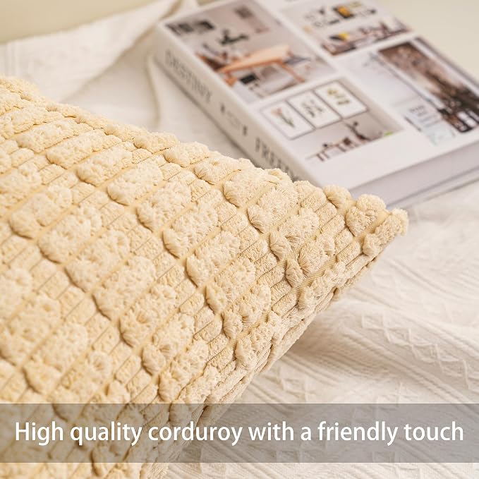 Aegero Pack of 2 Corduroy Decorative Throw Pillow Covers 20x20 Inch - Image 3
