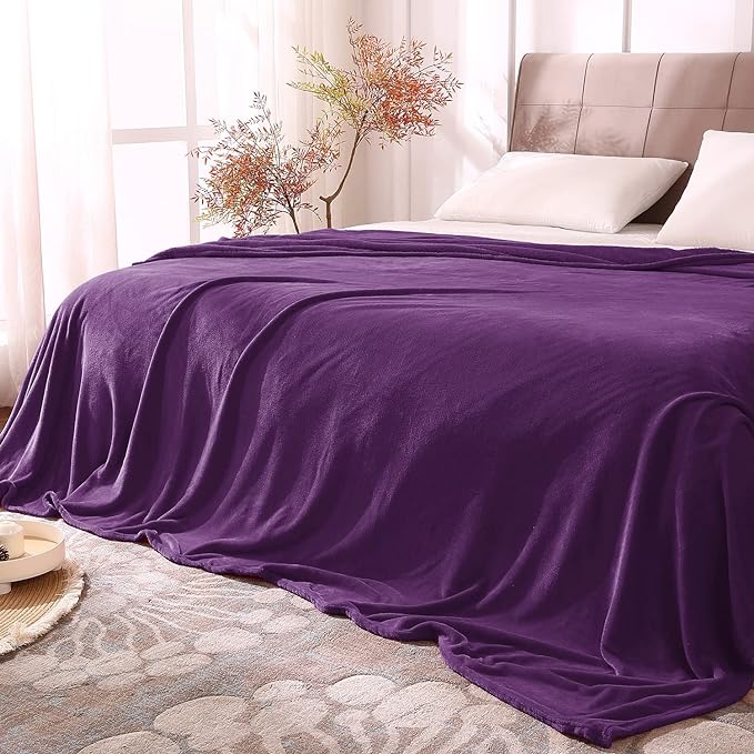 BEDELITE Fleece Blanket Soft Plush Queen Size Bed Blanket Purple 90"x90" | by BEDELITE