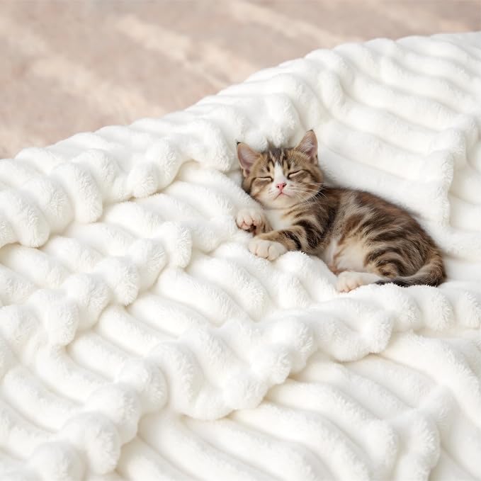 Bedsure GentleSoft White Throw Blanket - Image 8