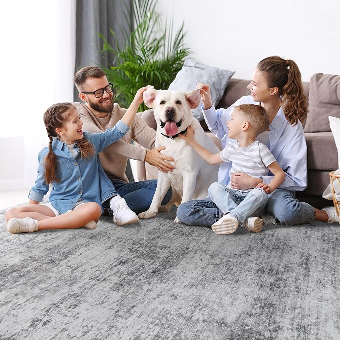 Aelenmu 9x12 Area Rugs for Living Room Bedroom Dining Room Washable Grey | Soft - Image 8
