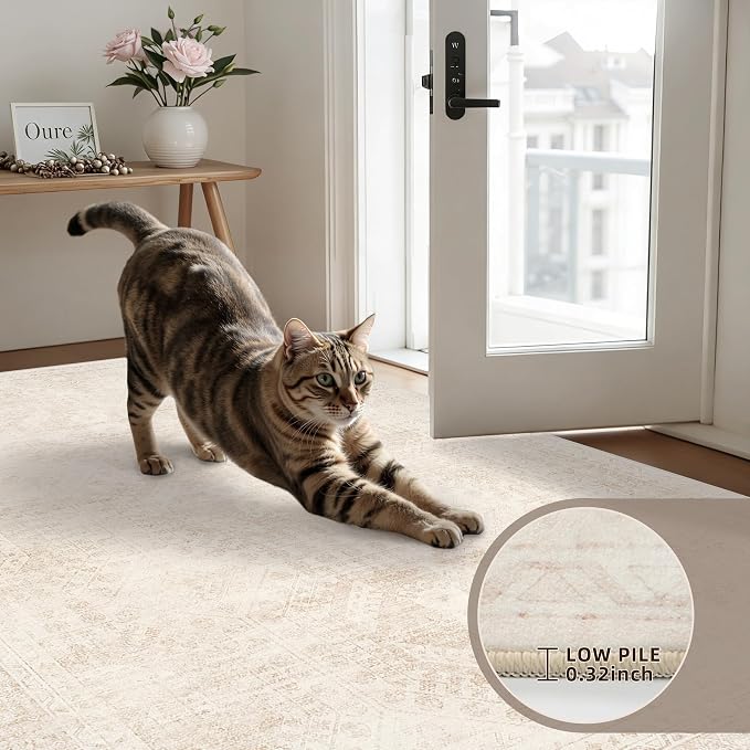 5x7 Area Rugs Living Room: Bedroom Neutral Washable Carpet Beige | Large - Image 7