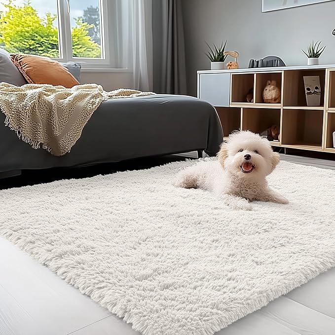 OLANLY 3x4 Machine Washable Accent Rug, Soft Fluffy Shaggy Area Rug by OLANLY