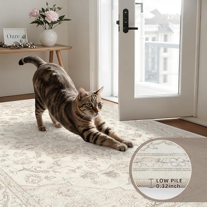 6x9 Area Rugs Living Room: Bedroom Washable Carpet Beige White | Vintage Boho - Image 7