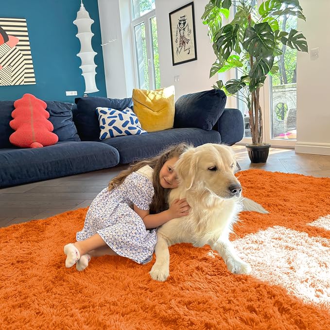 OLANLY Area Rugs for Living Room Bedroom, Machine Washable 4x5.9 ft Soft Fluffy - Image 3