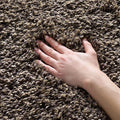 SAFAVIEH Area Rug 4x6 by Unknown