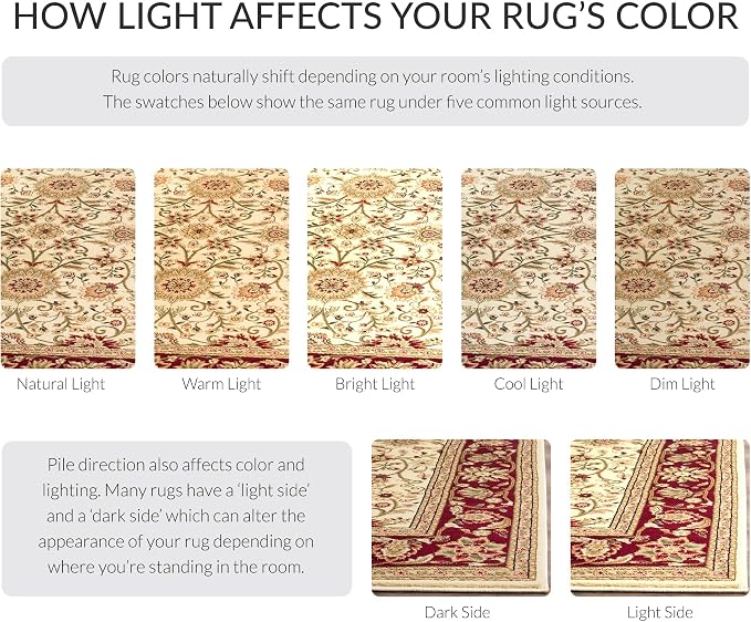 SAFAVIEH Area Rug 2x3 - Image 6