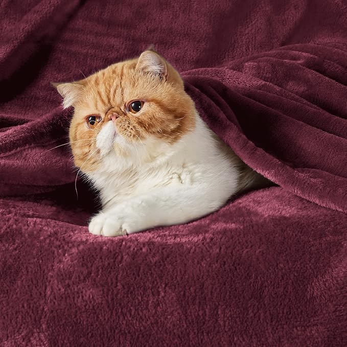 Bedsure GentleSoft Fleece Blanket Twin Size Red - Image 2