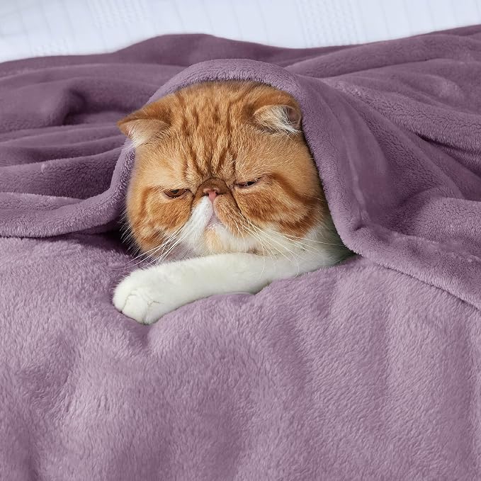 Bedsure GentleSoft Fleece Throw Blanket - Image 3