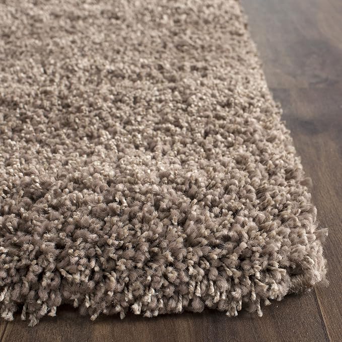 SAFAVIEH Area Rug 4x6 - Image 5