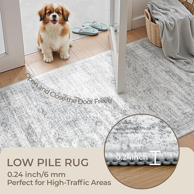3x5 Rug for Entryway, Washable Area Rug, Living Room, Dining Room, Neutral Rug - Image 6
