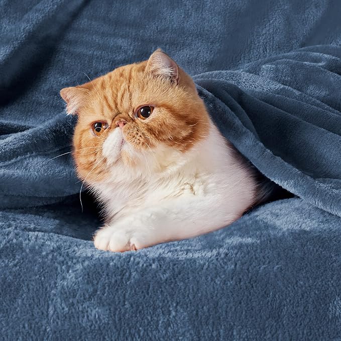 Bedsure GentleSoft Fleece Blankets Queen Size Blue - Image 2