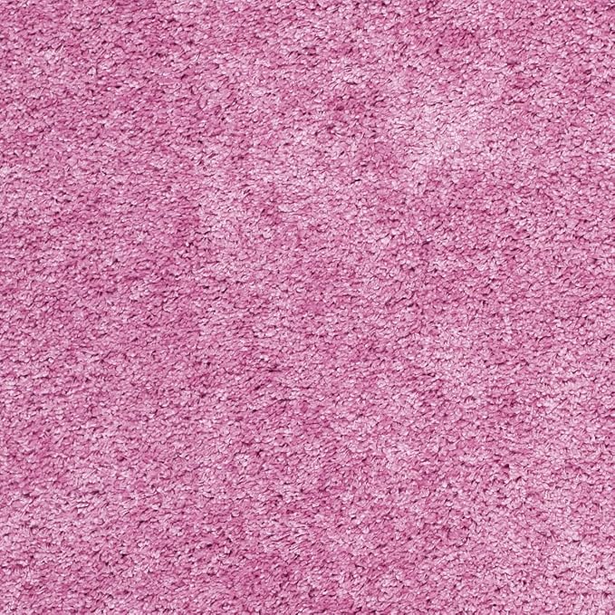SAFAVIEH Area Rug 4x6 - Image 9