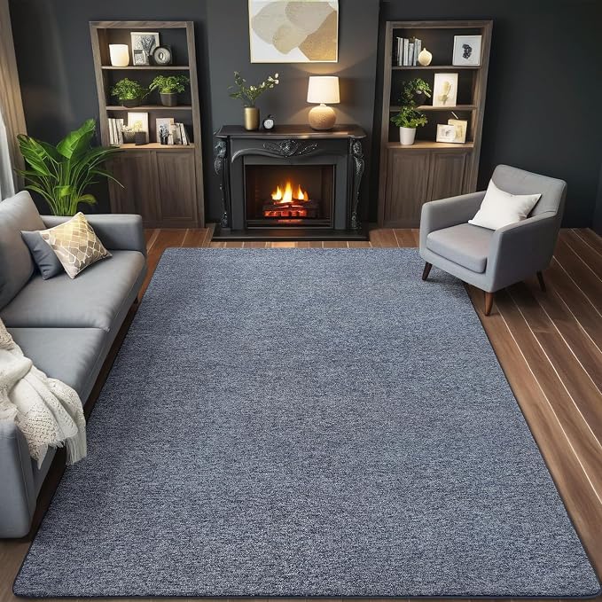 5x7 Area Rugs for Living Room Non Slip Dorm Bedroom Rug, Minimalist Washable by AROGANAREARUG