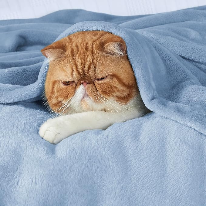 Bedsure GentleSoft Fleece Throw Blanket - Image 4